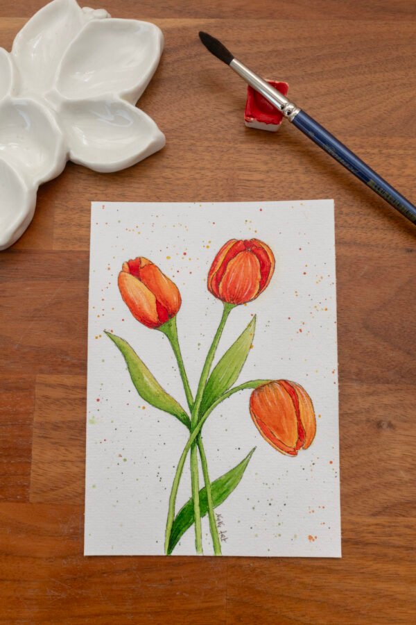 Tulipes