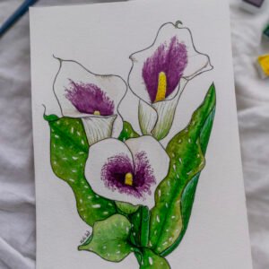 Arum Picasso