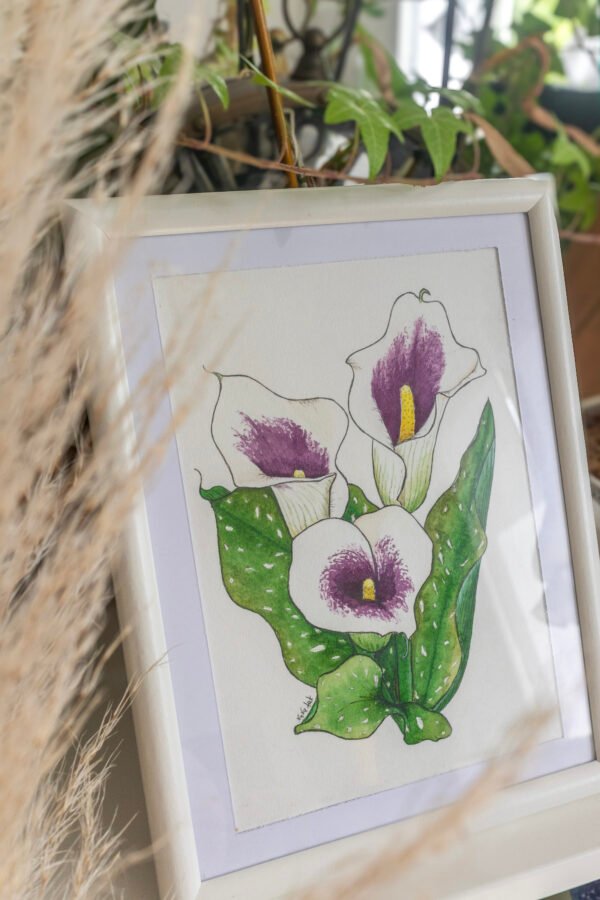 Arum Picasso – Image 2
