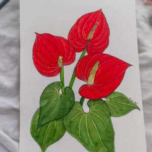 Anthurium