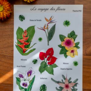Planche de stickers "Le voyage des fleurs"