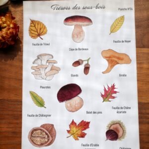 Planche de stickers "Trésors des sous-bois"