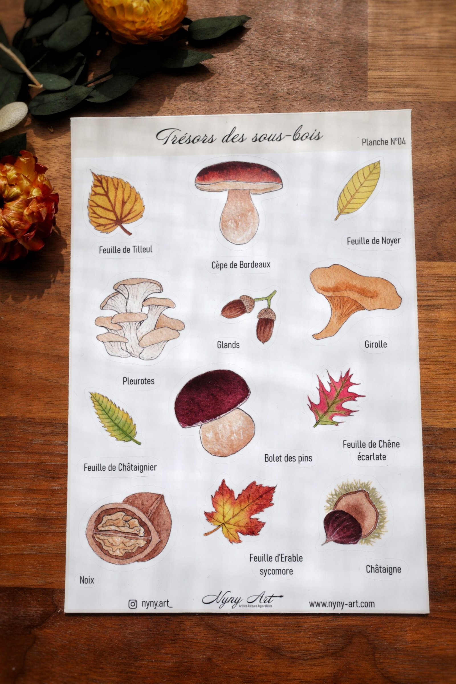 Lot de 4 planches - Fleurs, Courges et Trésors de la nature – Image 6