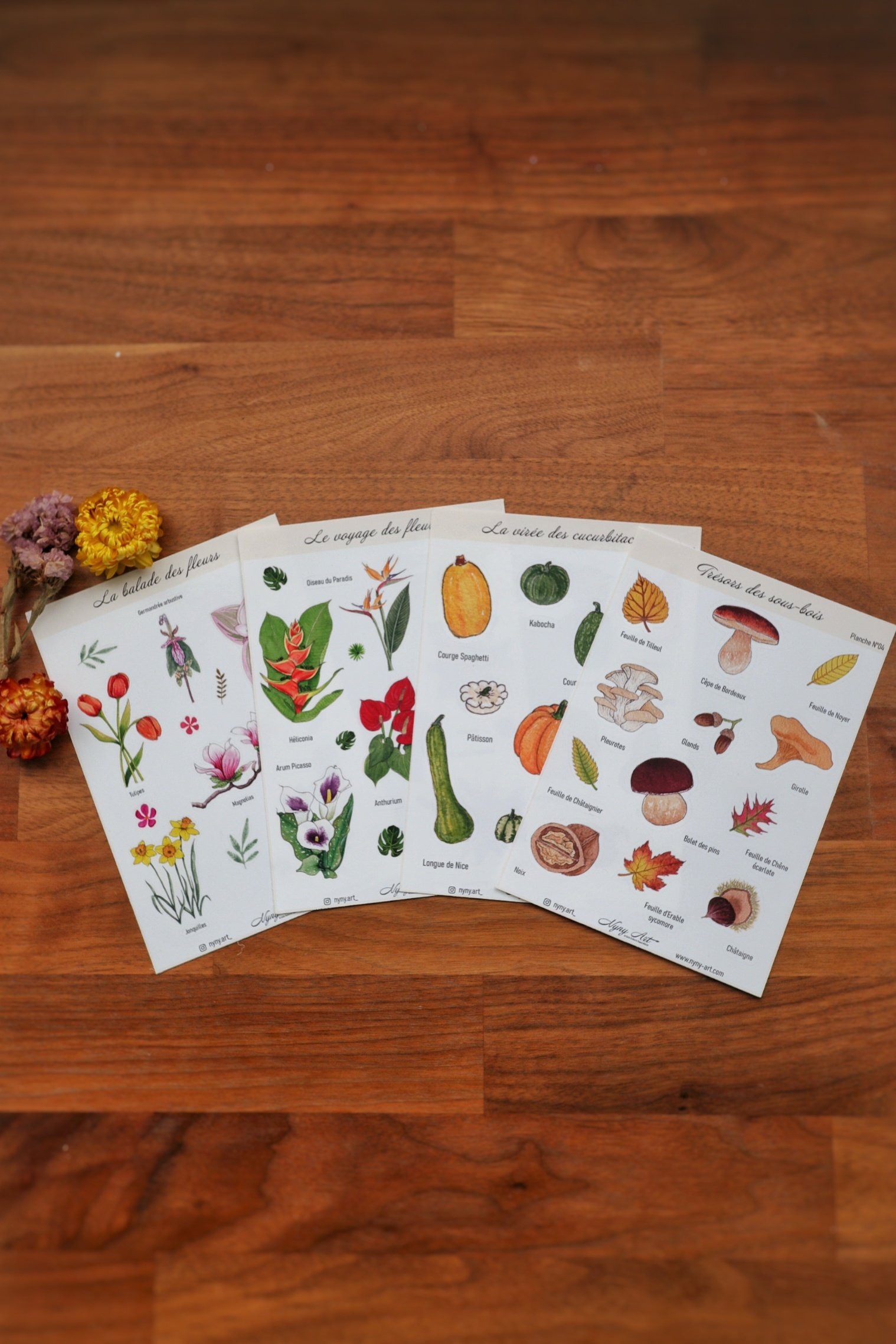 Lot de 4 planches - Fleurs, Courges et Trésors de la nature