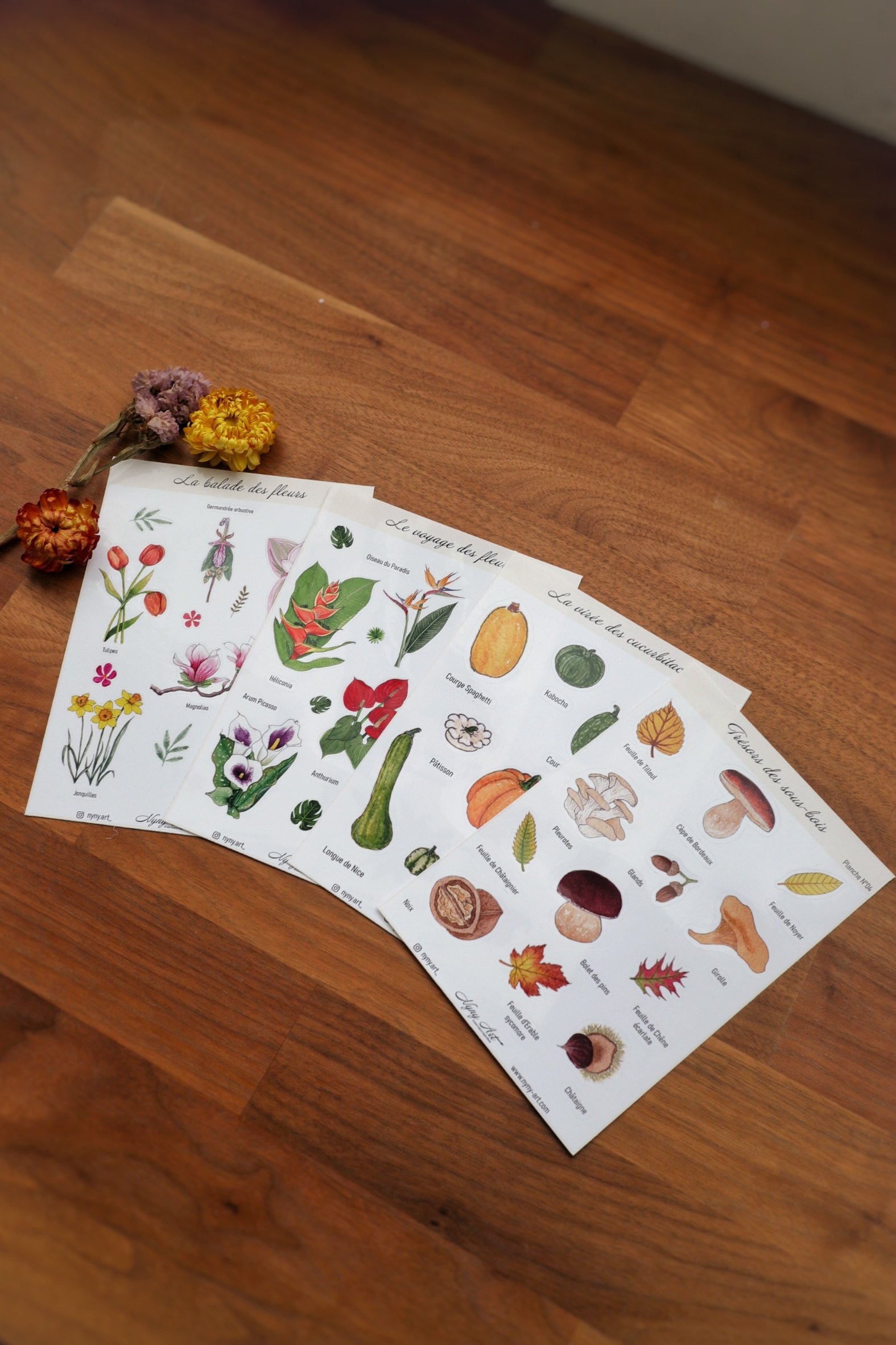 Lot de 4 planches - Fleurs, Courges et Trésors de la nature – Image 2